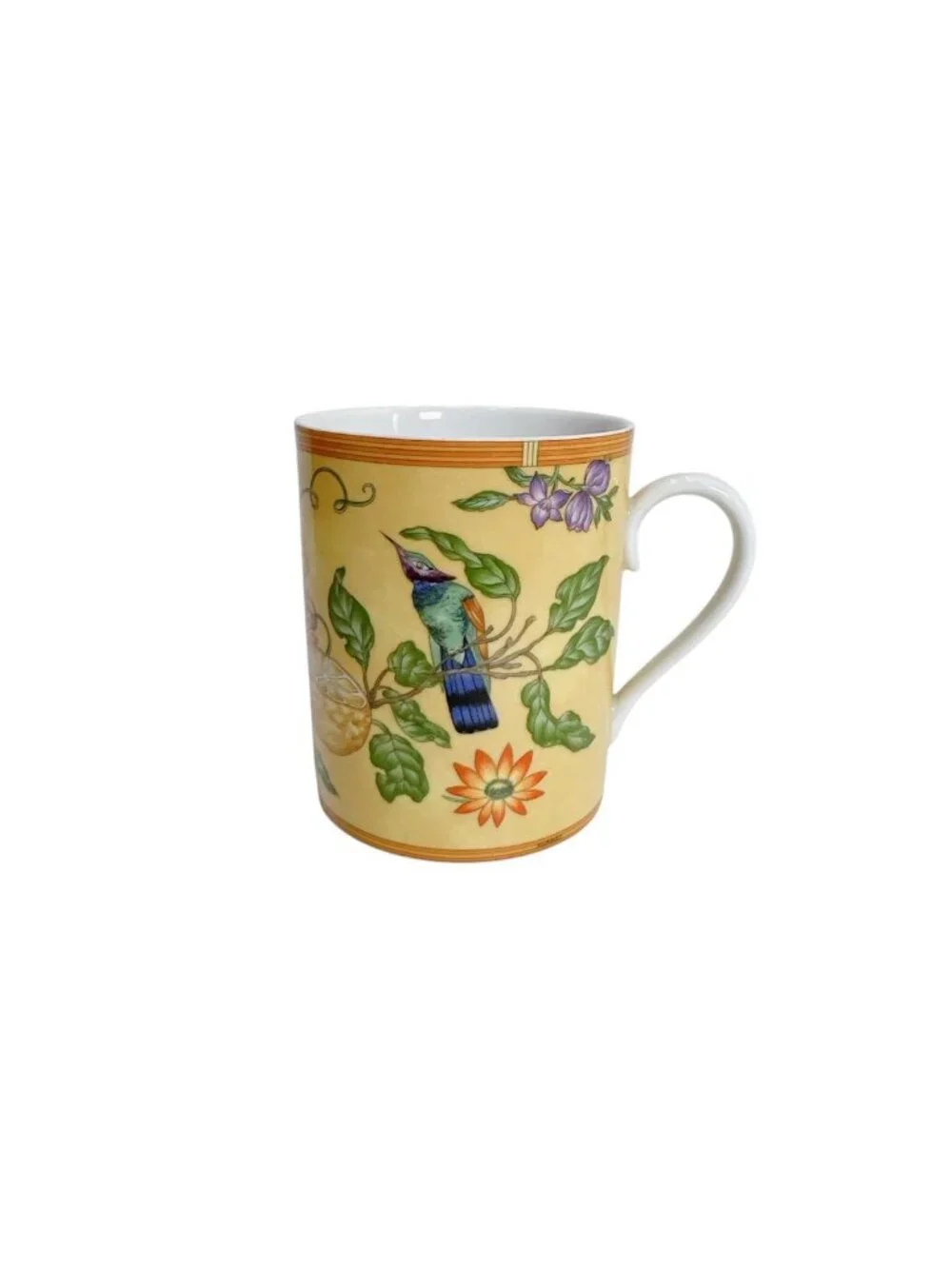 Hermes Cup Fruit South Country Bird Siesta Mug Yellow White